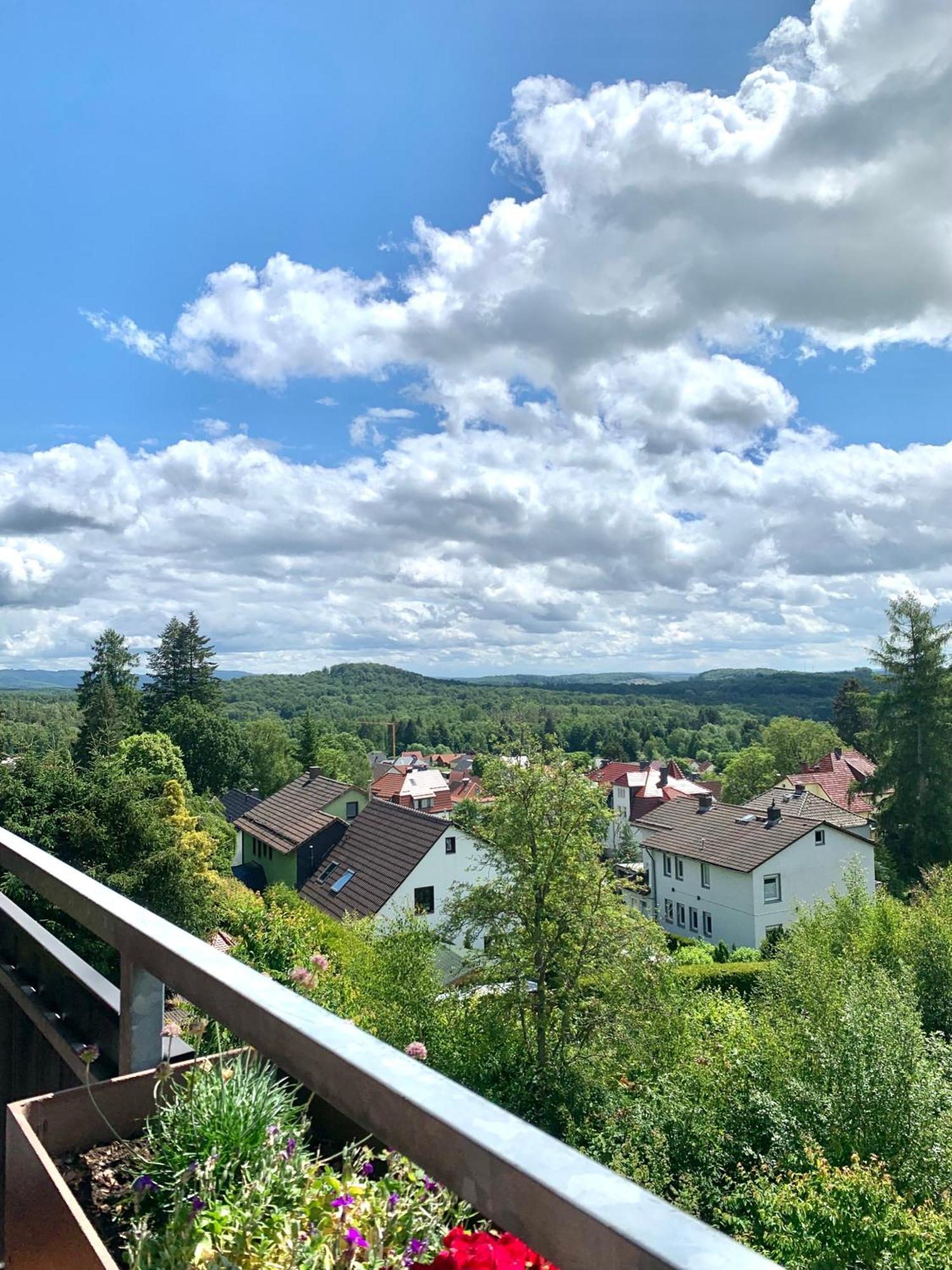 Apartmán Jagdschloesschen-Harz Bad Sachsa Exteriér fotografie