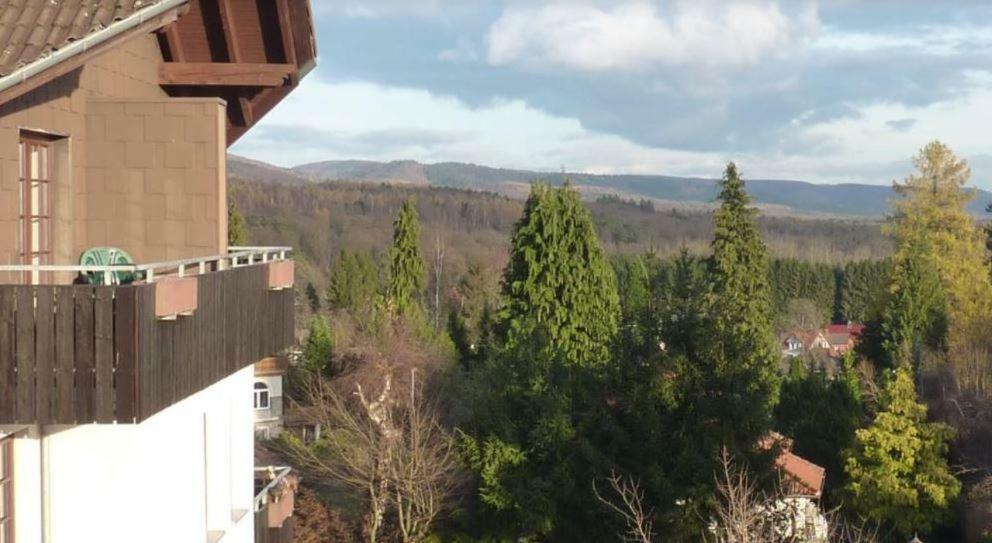 Apartmán Jagdschloesschen-Harz Bad Sachsa Exteriér fotografie