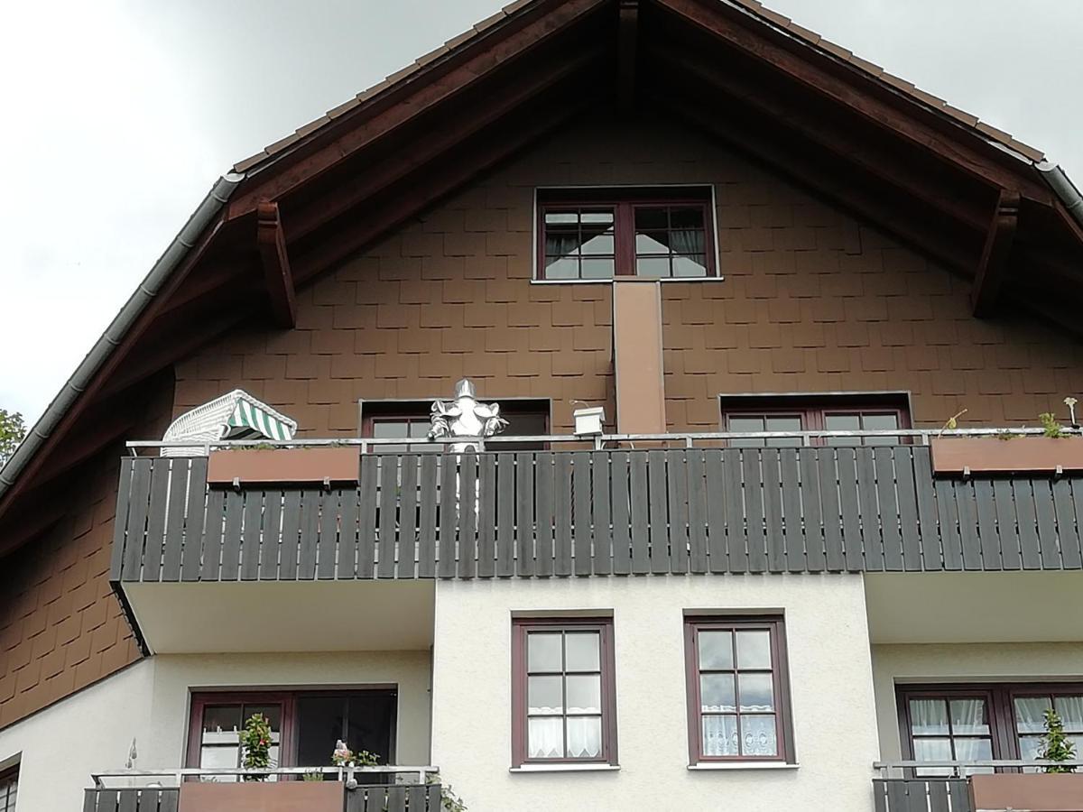 Apartmán Jagdschloesschen-Harz Bad Sachsa Exteriér fotografie